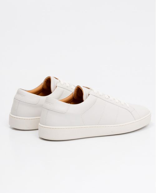 Tenis de Hombre en Cuero, Caña Baja Horma Básica Estilizada - Cuero Anilina Liso Diseño Unicolor