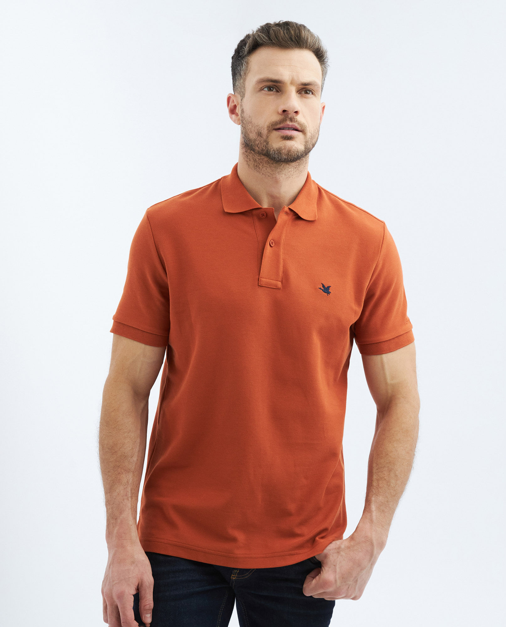 Fashion polos chevignon hombre