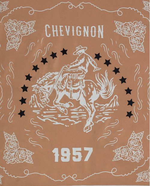 Pañoleta de Mujer Rodeo Estampada en Rayón